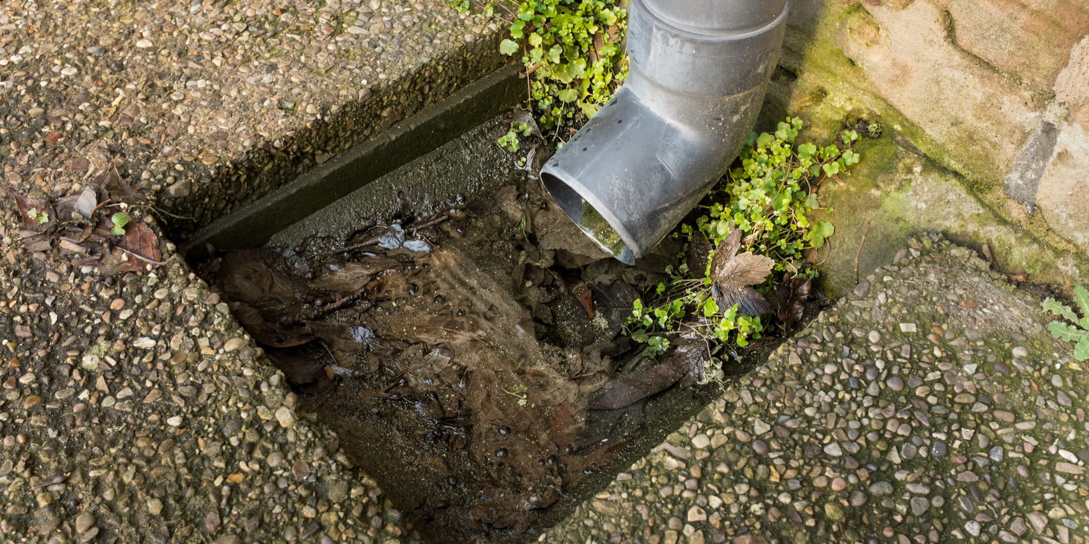 Drain Services Portsmouth